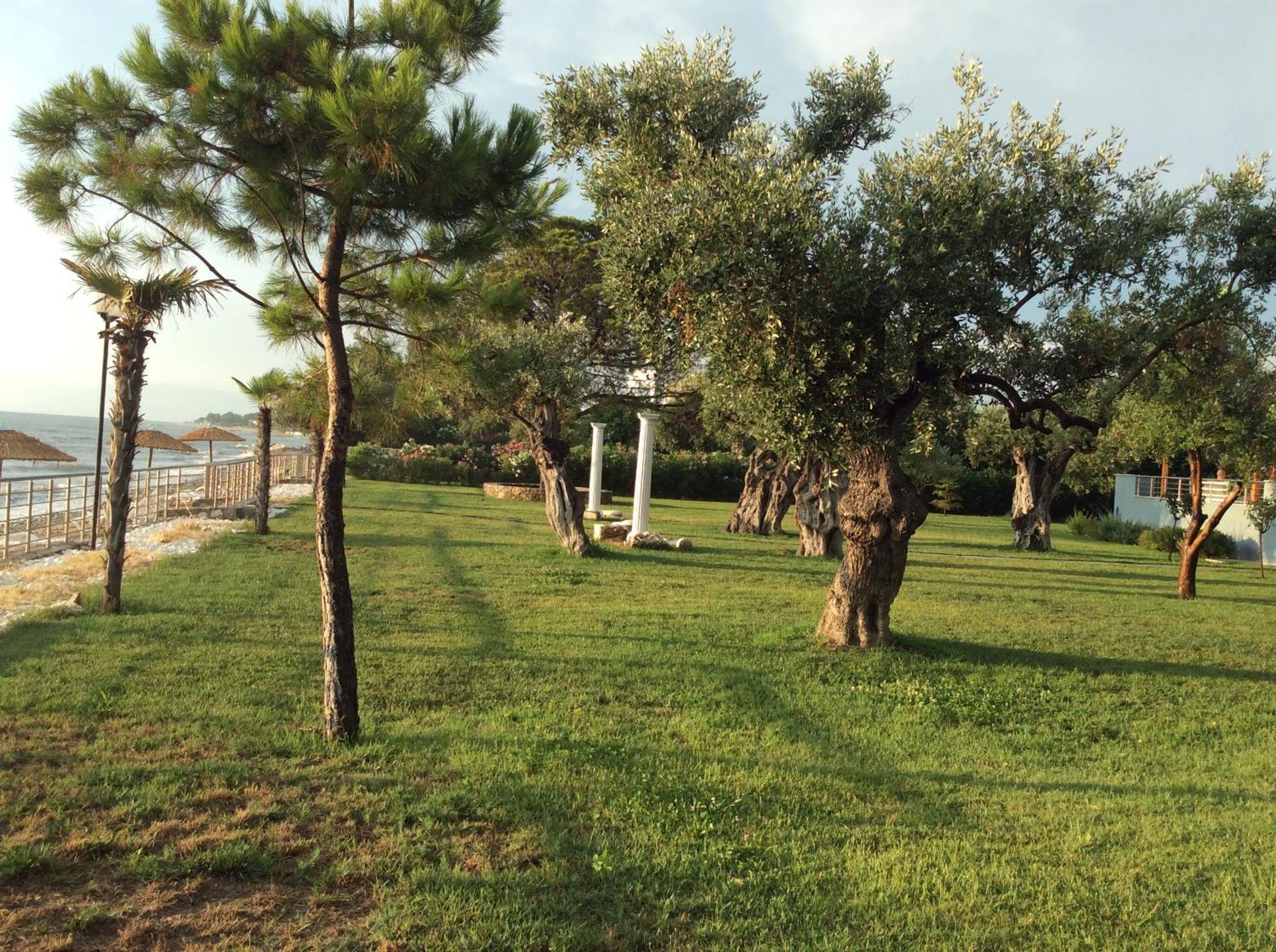 Villa Arhondula Prínos Exteriör bild
